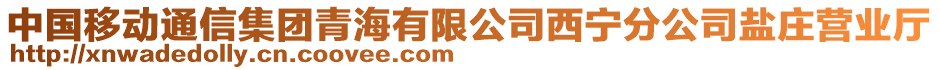 中國(guó)移動(dòng)通信集團(tuán)青海有限公司西寧分公司鹽莊營(yíng)業(yè)廳