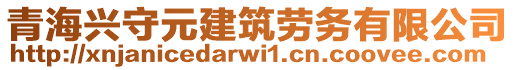 青海興守元建筑勞務(wù)有限公司