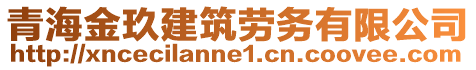 青海金玖建筑勞務有限公司