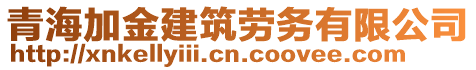 青海加金建筑勞務(wù)有限公司