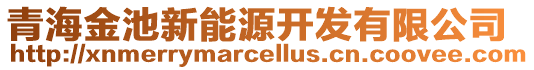 青海金池新能源開發(fā)有限公司