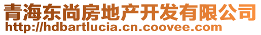 青海東尚房地產(chǎn)開發(fā)有限公司