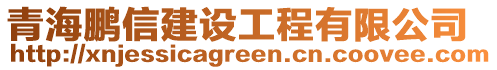 青海鵬信建設(shè)工程有限公司