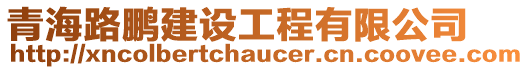 青海路鵬建設工程有限公司