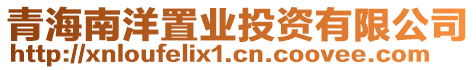青海南洋置業(yè)投資有限公司