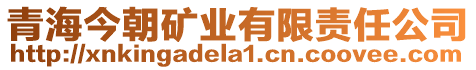 青海今朝礦業(yè)有限責(zé)任公司