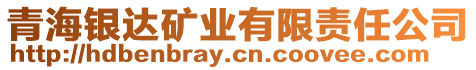 青海銀達(dá)礦業(yè)有限責(zé)任公司