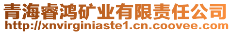青海睿鴻礦業有限責任公司