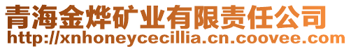 青海金燁礦業(yè)有限責任公司