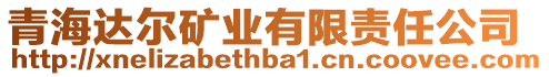 青海達(dá)爾礦業(yè)有限責(zé)任公司