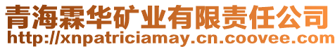 青海霖華礦業有限責任公司