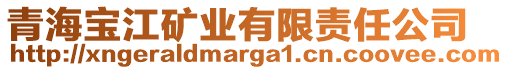 青海寶江礦業(yè)有限責任公司