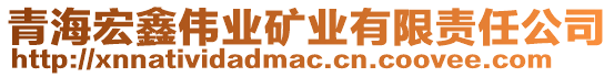 青海宏鑫偉業(yè)礦業(yè)有限責(zé)任公司
