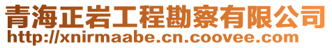 青海正巖工程勘察有限公司