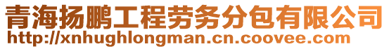 青海揚(yáng)鵬工程勞務(wù)分包有限公司