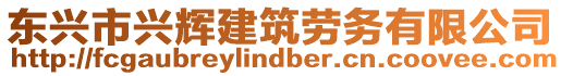 東興市興輝建筑勞務有限公司