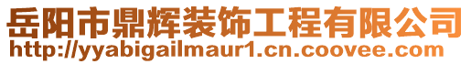 岳陽(yáng)市鼎輝裝飾工程有限公司