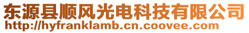 東源縣順風(fēng)光電科技有限公司