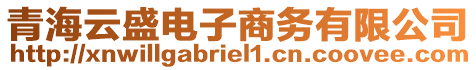 青海云盛電子商務(wù)有限公司