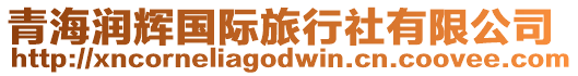 青海潤(rùn)輝國(guó)際旅行社有限公司