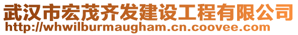 武漢市宏茂齊發(fā)建設(shè)工程有限公司