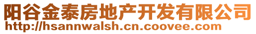 陽(yáng)谷金泰房地產(chǎn)開(kāi)發(fā)有限公司