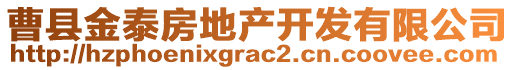 曹縣金泰房地產(chǎn)開發(fā)有限公司