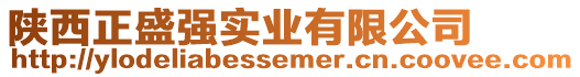 陜西正盛強(qiáng)實(shí)業(yè)有限公司