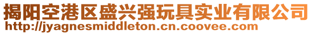 揭陽空港區(qū)盛興強玩具實業(yè)有限公司