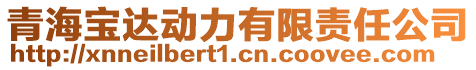 青海寶達動力有限責任公司