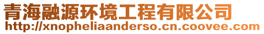 青海融源環(huán)境工程有限公司