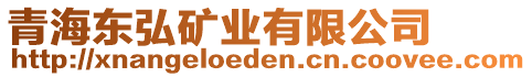 青海東弘礦業(yè)有限公司