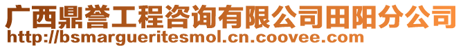 廣西鼎譽(yù)工程咨詢有限公司田陽分公司