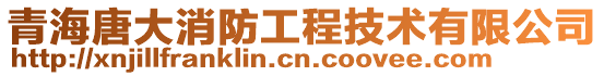青海唐大消防工程技術有限公司