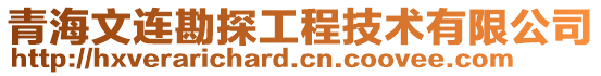 青海文連勘探工程技術(shù)有限公司