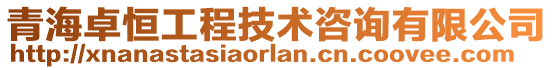 青海卓恒工程技術(shù)咨詢有限公司