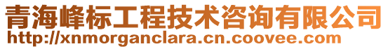 青海峰標(biāo)工程技術(shù)咨詢有限公司