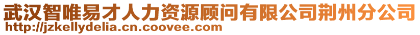 武漢智唯易才人力資源顧問有限公司荊州分公司