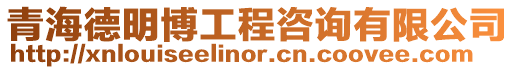 青海德明博工程咨詢有限公司
