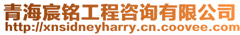 青海宸銘工程咨詢有限公司