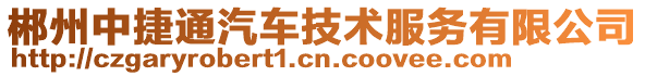 郴州中捷通汽車技術服務有限公司