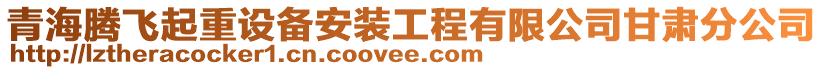 青海騰飛起重設備安裝工程有限公司甘肅分公司