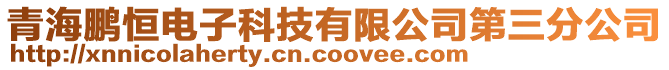 青海鵬恒電子科技有限公司第三分公司