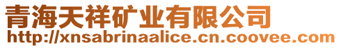 青海天祥礦業(yè)有限公司