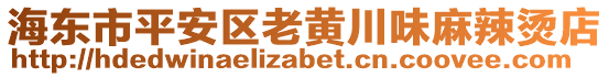 海東市平安區(qū)老黃川味麻辣燙店