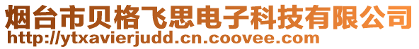 煙臺市貝格飛思電子科技有限公司