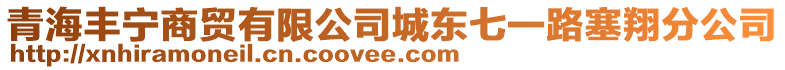 青海豐寧商貿(mào)有限公司城東七一路塞翔分公司