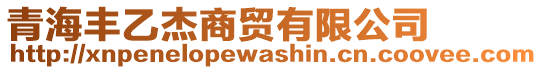 青海豐乙杰商貿(mào)有限公司