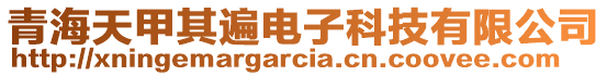 青海天甲其遍電子科技有限公司