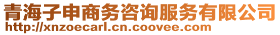 青海子申商務(wù)咨詢服務(wù)有限公司